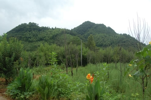 Nice view in the countryside